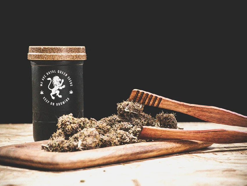 Gorilla Glue